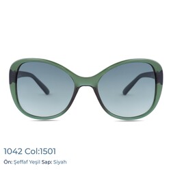  - 1042 Col 1501 (1)
