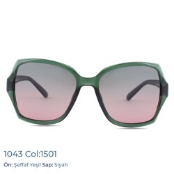  - 1043 Col 1501 (1)