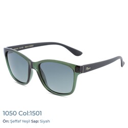 - 1050 Col 1501 (1)